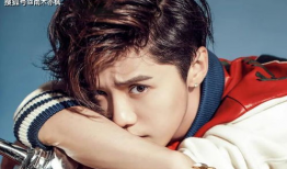 娱乐圈吃瓜鹅鹿晗,娱乐圈吃瓜鹅的蜕变之路