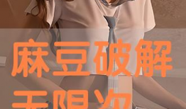 破解版麻豆,解锁无限创意与自由