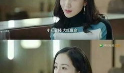 进娱乐圈吃瓜的小说推荐,从吃瓜小白到顶级流量巨星